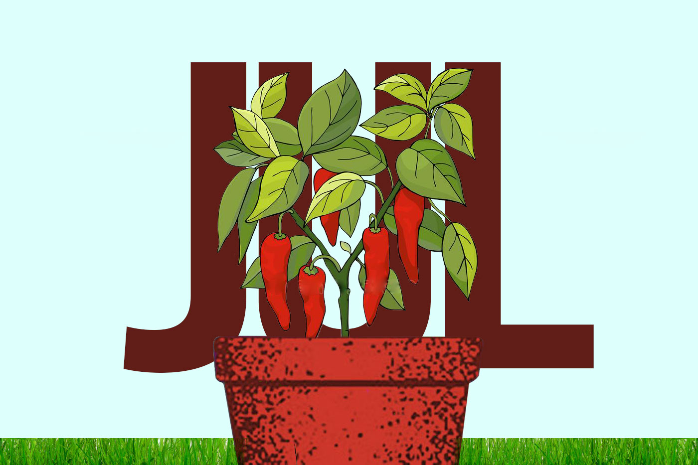red chilis in pot with JUL in background